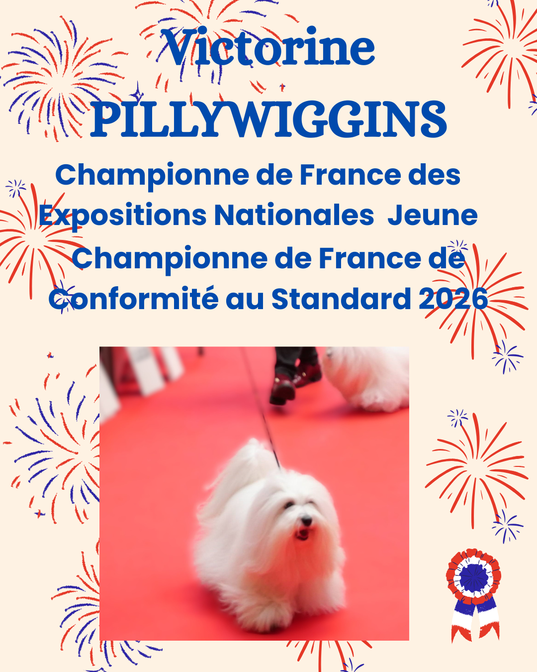 Pillywiggins - Victorine Homologuée Championne de France !